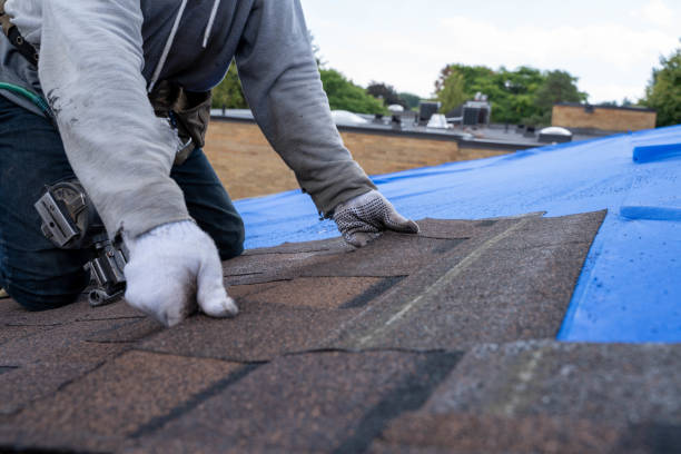 Roof Insulation in Chicopee, MA